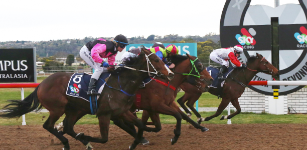 Devonport Cup 2025 – Field Preview, Odds, Horses, Speed Map and Betting Tips