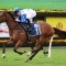 Exciting QLD galloper heads odds in wide open Magic Millions QTIS field