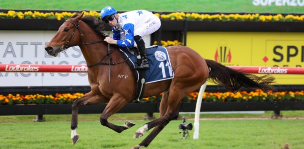 Exciting QLD galloper heads odds in wide open Magic Millions QTIS field