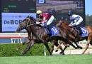 Curtis unfazed by carpark for Bauhinia