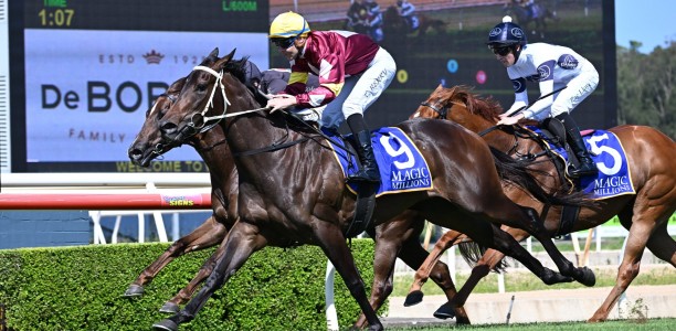 Curtis unfazed by carpark for Bauhinia