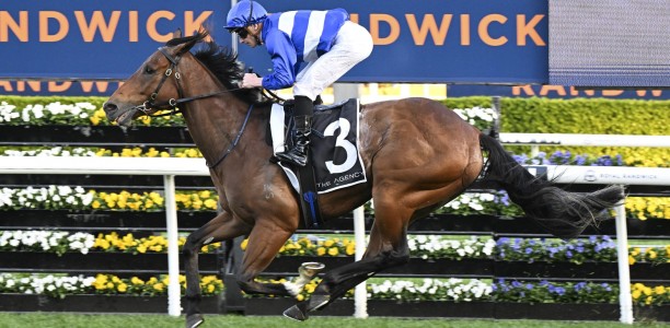 Freedman’s faith in Moravia