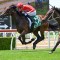 English jockey Harry Davies gets first Australian winner