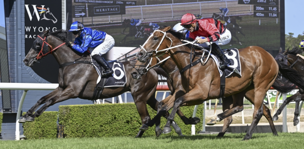 Australia Day Cup next for Bullets High