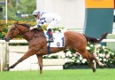 Rubylot a genuine Hong Kong Classic Mile contender