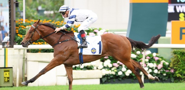 Rubylot a genuine Hong Kong Classic Mile contender