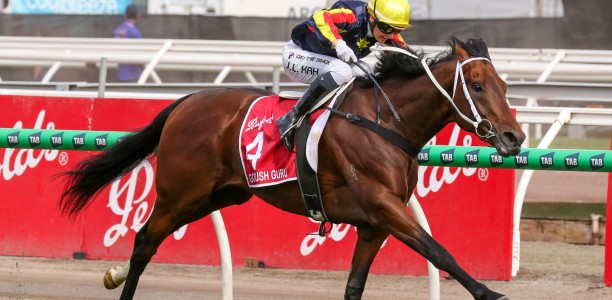 Goldrush Guru gearing up for another Derby tilt