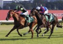 Stakes test looms for Accredited