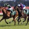 Stakes test looms for Accredited