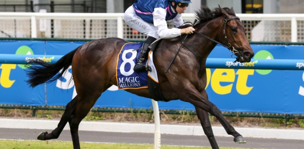 Melbourne filly heads odds in wide open Magic Millions Classic field