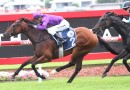 Boom horses odds crunched to win the Magic Millions QTIS