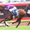 Boom horses odds crunched to win the Magic Millions QTIS