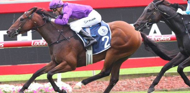 Boom horses odds crunched to win the Magic Millions QTIS