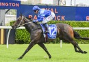 Kia Ora blueblood filly Alliri triumphs at Randwick