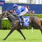 Kia Ora blueblood filly Alliri triumphs at Randwick