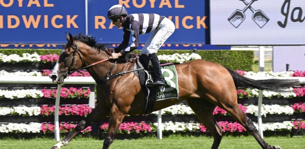 Bjorn Baker’s strong Rosehill hand