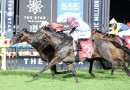 Bosustow bounces back in the Magic Millions Guineas