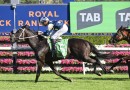 Punters plunge on Waller stayer in the January Cup at Rosehill