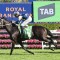 Punters plunge on Waller stayer in the January Cup at Rosehill