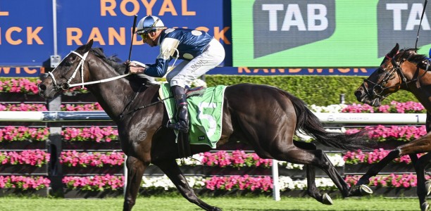 Punters plunge on Waller stayer in the January Cup at Rosehill