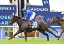 Stakes targets being considered for Rosehill winners