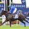 Stakes targets being considered for Rosehill winners