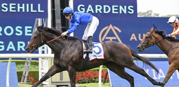 Stakes targets being considered for Rosehill winners