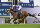 Osipenko caps stunning Sydney return for James McDonald