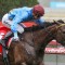 Apache on Song for Group 2 assault