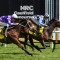 Australia Stakes gets a quality boost