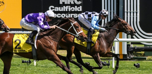 Australia Stakes gets a quality boost