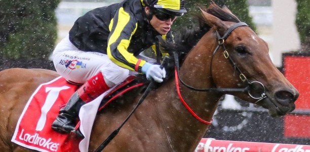 Fickle shoots for Sandown success