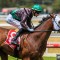 Title Fighter up to the challenge in Australia Stakes