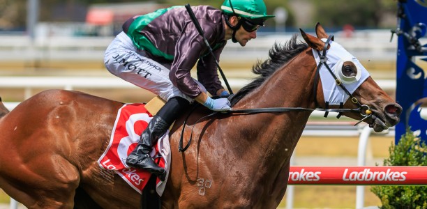 Title Fighter up to the challenge in Australia Stakes