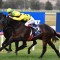 Freedmans rely on Coastwatch at Sandown