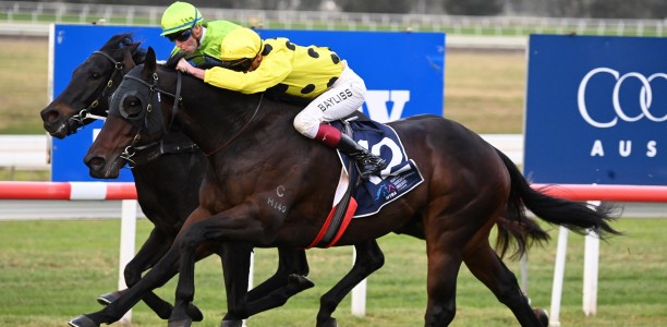 Freedmans rely on Coastwatch at Sandown