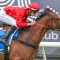 Sandown switch not ideal for Perilous Fighter