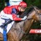 Schwarz smashes rivals in Australia Stakes