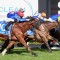 Wild Imagination heads odds for the Strathalbyn Cup