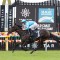 Damian Lane booked to ride O’Ole in Blue Diamond Stakes